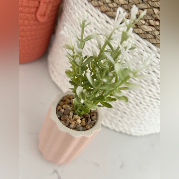 Mini Artificial Potted Plant in Pink Ribbed Ceramic Pot, 4”- NWT - Picture 3 of 3